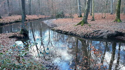 Mutzbach, Köln