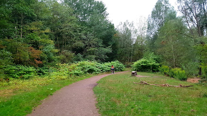 Höhenfelder See, Köln