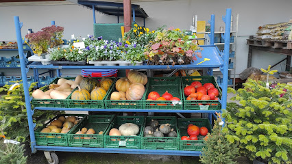 Gartenoase Köln West