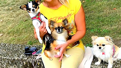 KlaudiasTiersitting & Chihuahua Goldie Huta/Huna/Hundepension für nur 5 Hunde bis 5 kg + Mobil Betreuung für Katzen, Köln