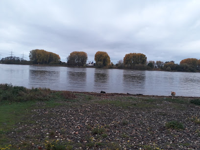 Rheinaue Langel-Merkenich, Köln