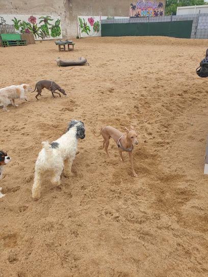 Dogs Place - Die Betreuung speziell für kleine Hunde, Köln