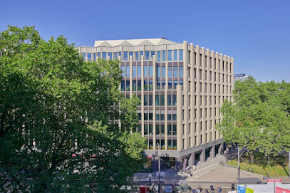 Webseitenkönig, Köln