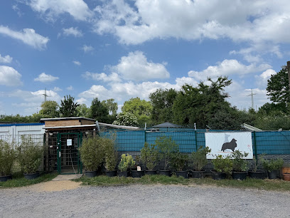 Wooftown Hundetagesstätte Köln