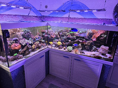 DrFisch Inh. Atakan Sever, Köln