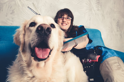 Pfotenzauber Hundefriseur - Hundesalon, Köln