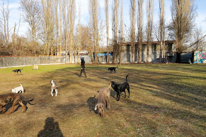 Hundetagesstätte Stadtfelle, Köln