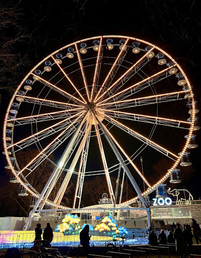 Das Kölner Riesenrad am Zoo