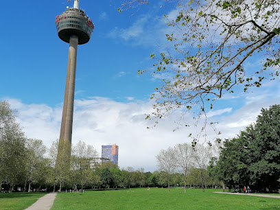 Innerer Grüngürtel, Köln