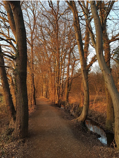 Kurtenwaldbach, Köln